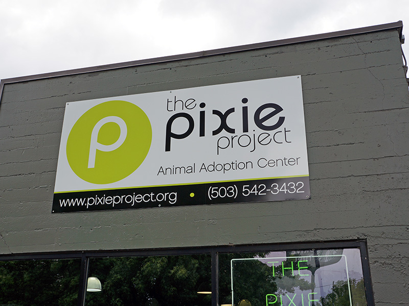 Huge Dibond 5'x10' Full Color Printed Sign Portland Pixie Project