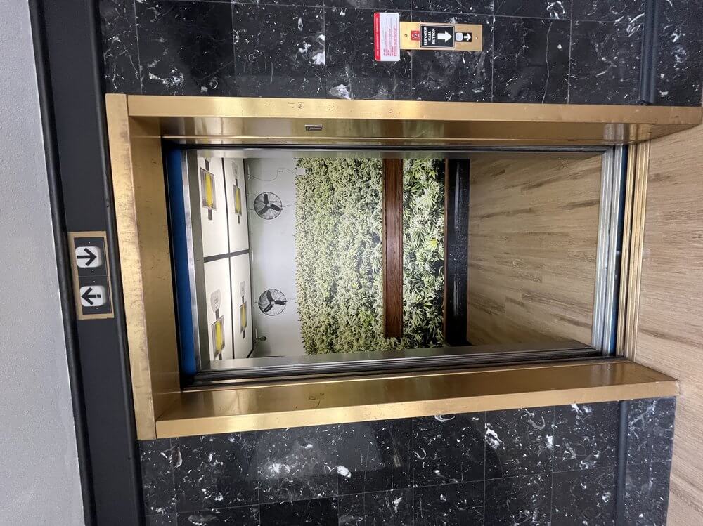 Broadway Cannabis Dispensary Elevator Pvc Grow Room - outdoor & retail signs