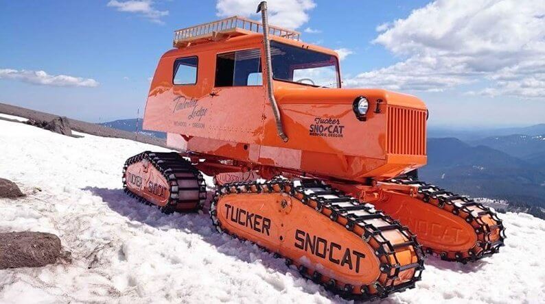 Timberline Lodge Die Cut Tucker Snocat Throwback Die Cut Graphics - outdoor & retail signs